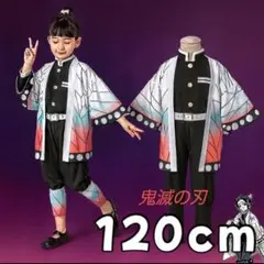 鬼滅の刃　胡蝶しのぶ風　コスプレ　キッズ　120　仮装　パーティー　イベント