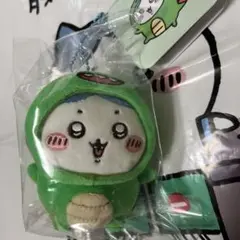 ナガノキャラクターズ　きゅりゅくんを被ったハチワレマスコット