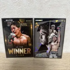 Item thumbnail for item e2667881-cf43-4a15-9c23-91d532eeab66