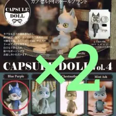 CAPSULE DOLL vol.4 ブルーパープル×2