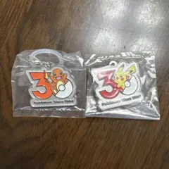 ポケモン　30周年　メタルチャームマスコット　ガチャ