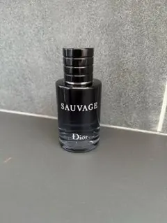 Dior SAUVAGE Eau de Parfum 100ml