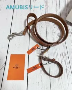 Item thumbnail for item 07c4ef28-2258-4c12-9192-2db0b0f4d532