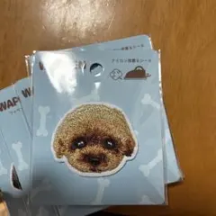 Item thumbnail for item 78db7cda-eec1-4f2d-ae87-9493343f2a5d