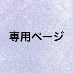 専用ページ