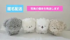 おいぬちゃん　ぬいぐるみマスコット　全四種コンプリート