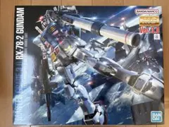 RX-78-2 ガンダム ＆ GAT-X105 エールストライクガンダムセット 特別仕様のガンプラ「RG RX-78-2 ガンダム ＆ エールストライク