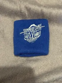 Item thumbnail for item b1b51a79-fa79-4c7b-9c9c-10bc1498eb04