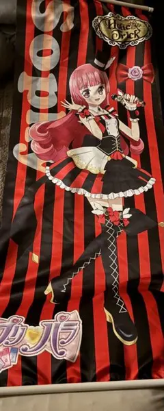 プリパラ ドロシー レオナ メガタペストリー プリパラ ドロシー レオナ メガタペストリー プリパラ ロング