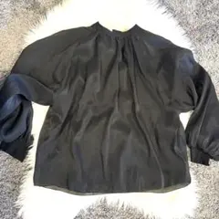 新品未使用！オーガンジーブラウス　中布（裏地）つき