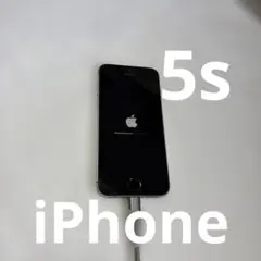 カ*コ様 Apple iPhone 5s 本体