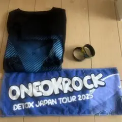 ONE OK ROCK DETOX JAPAN TOUR 2025