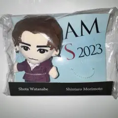 【sana♪さん専用】DREAM BOYS 渡辺翔太　ぬいぐるみ