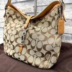 COACH コーチ ワンショルダーバッグ Y2Kシグネチャーバック 6845革鞄