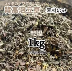 セイタカアワダチソウ　乾燥　1kg 100g×10袋　匿名宅急便 セイタカアワダチソウ 乾燥 1kg 100g×10袋 匿名宅急便 - メルカリ