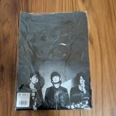Oasis KNEBWORTH 1996 ノエルTシャツ ダークグレー L - メルカリ
