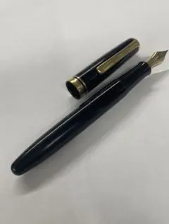 PLATINUM #3776 CENTURY 万年筆 シャルトルブルーUEF - メルカリ