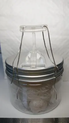 Item thumbnail for item a0e3ad9d-cc16-45f4-ad04-04af451191be