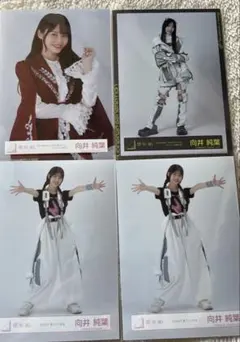 櫻坂46 向井純葉 生写真まとめ売り