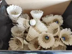 Item thumbnail for item 8b496143-d15f-4d13-a3bc-815aa244fa07