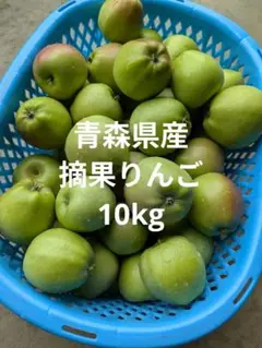 No.5 のらきんぎょ　南高梅　やや完熟　10kg No.5 のらきんぎょ様専用 南高梅 やや完熟 10kg - メルカリ