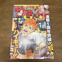 Item thumbnail for item 8bb55bc3-ee36-4b91-a7af-b698c7ffa859