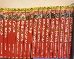 どっちが強い！？