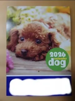 Item thumbnail for item 4b3165f3-ce92-483a-9b9b-29acfbfb4ea8