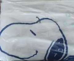 Item thumbnail for item 380ee9ea-103a-49cb-acae-72a89987a56b