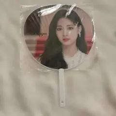 TWICE うちわ #Dreamday ツウィ