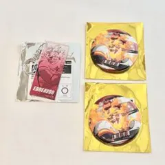 ヒロアカ 東急 缶バッジ アクキー エンデヴァー