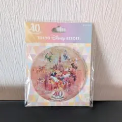 ディズニーランド 40周年 缶バッジ