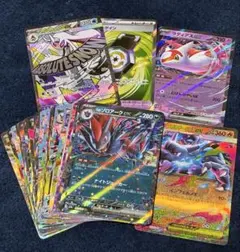 2026年最新】#カナリィSARの人気アイテム - メルカリ