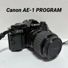 美品 Sony a100 レンズセット CCDセンサー搭載 #9917 - メルカリ