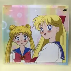 セーラームーン　セル画　2枚組 美品 ｾｰﾗｰﾑｰﾝ 美少女戦士ｾｰﾗｰﾑｰﾝ ｾﾙ画