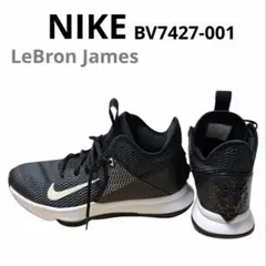 Item thumbnail for item b106f78a-0103-4a49-a9f9-ca84ef760a21