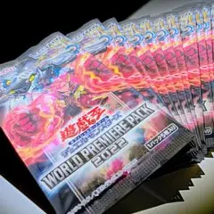 ワールドプレミアムパック2024 新品未使用未開封 シュリンク付き