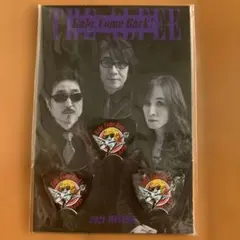 2025年最新】アルフィー ピックの人気アイテム - メルカリ