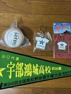 記念品】大阪桐蔭高校 第96回全国高校野球選手権大会 優勝グッズセット