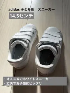 adidas ホワイト スニーカー ベルクロ