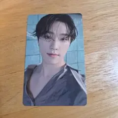 seventeen ディノ トレカ