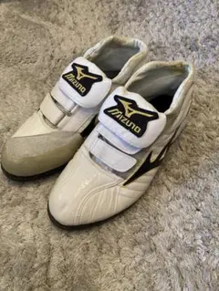 プロ支給品 ミズノプロ