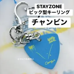 FC STAY ZONE チャンビン ピック 非売品 ソウルコン アンコン 仁川