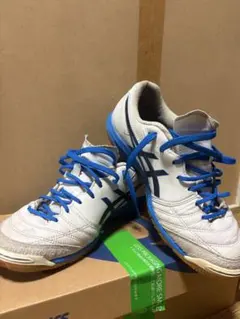 あきら様 あきらasics フットサルシューズ デスタッキ 26.5センチ あきら様 あきら様専用asics フットサルシューズ デスタッキ 26.5