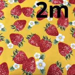 Item thumbnail for item febac6aa-c4ad-4191-a9f6-d6ccecf6e10f