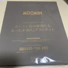 リンネル付録　ムーミン谷の仲間たち　あったかBIG ブランケット