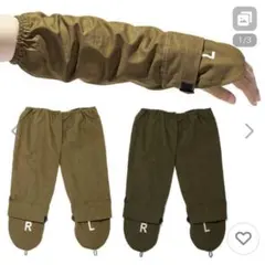 Item thumbnail for item 083f061c-56ec-4c1f-9907-152d0a5a2c77