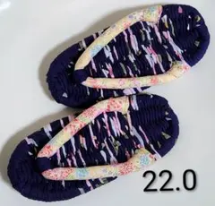 Item thumbnail for item cefe6666-f12f-46d9-9015-dc3227dae896