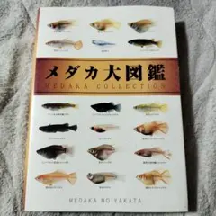 メダカ大図鑑
