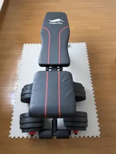 送料込　Cutee Fox トレーニングベンチ 20キロダンベルセット